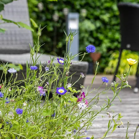 Casa Wohnen Und Wellness * Hemer