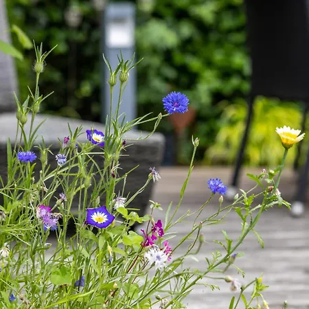 펜션 Casa Wohnen Und Wellness *